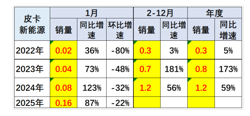2025年1月皮卡市场数据分析 销量排行榜