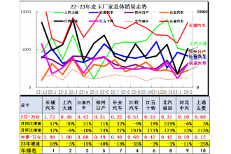 2023年2月皮卡市场分析 销售4.3万辆大涨25%