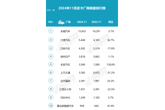 2024年11月皮卡市场分析 销量4.4万 同比下降3.1%