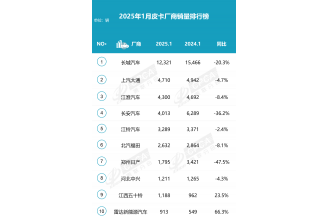 2025年1月皮卡市场数据分析 销量排行榜